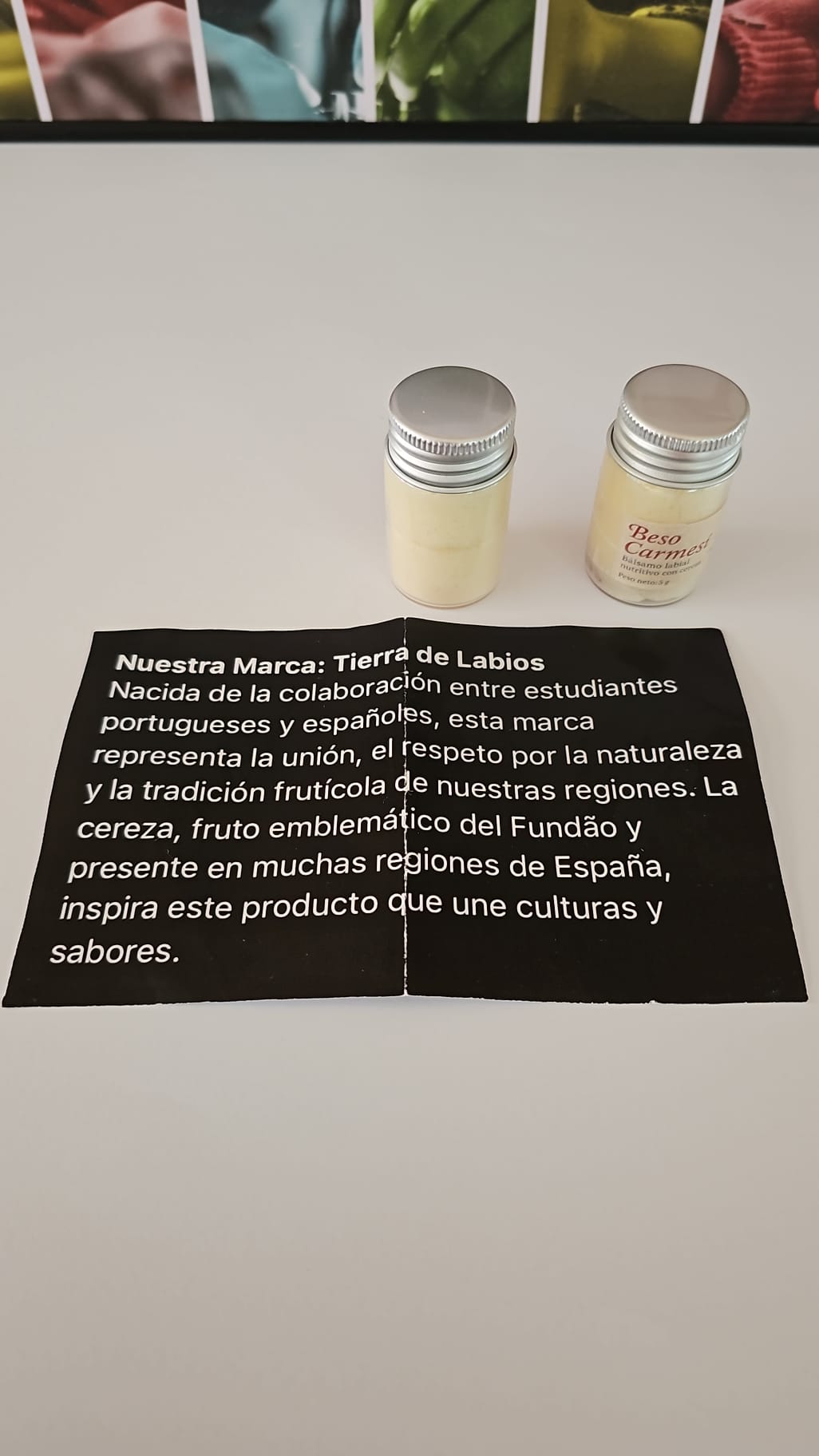 FOTO3